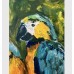 Parrots -exotic oil painting 